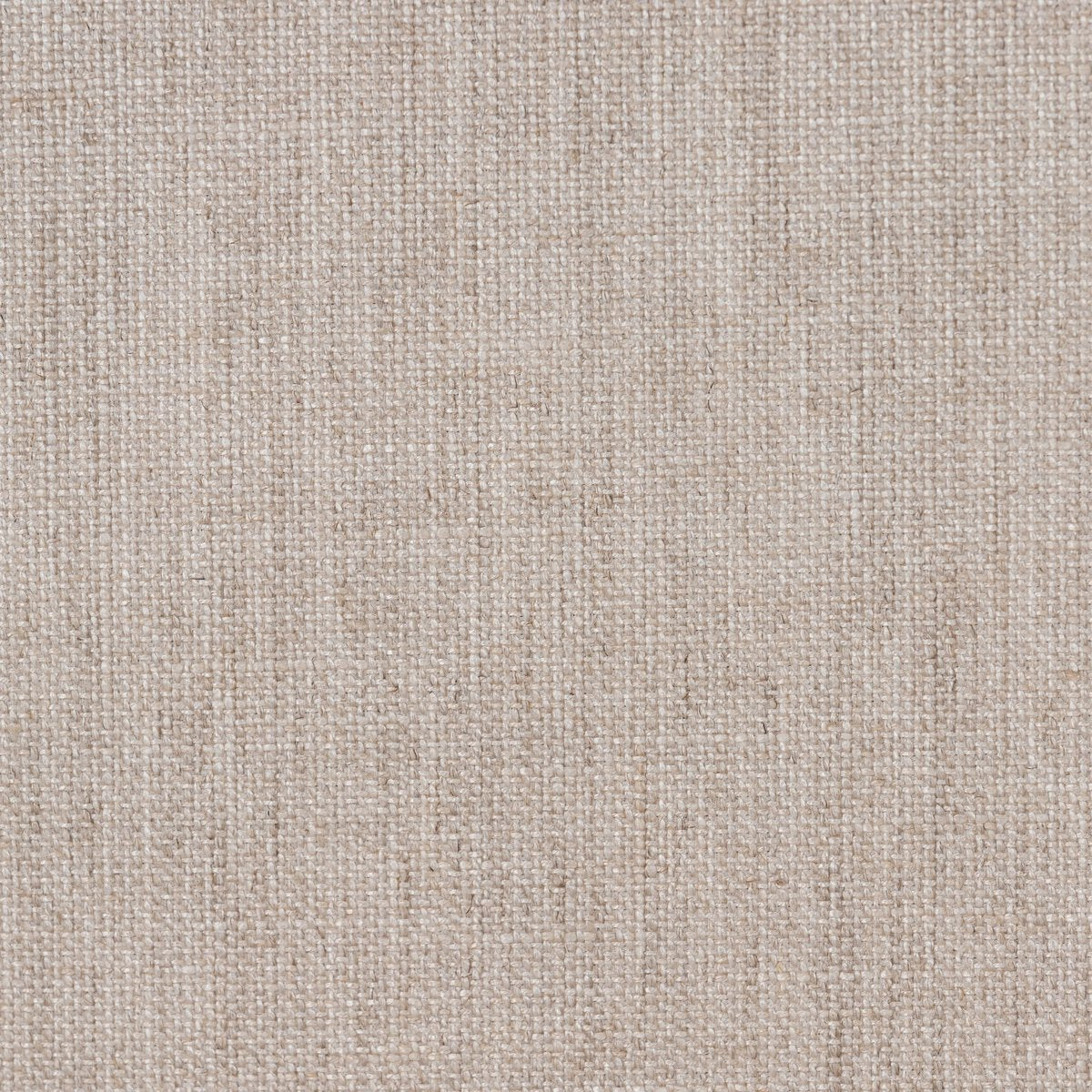 Roark - Naturel image 5