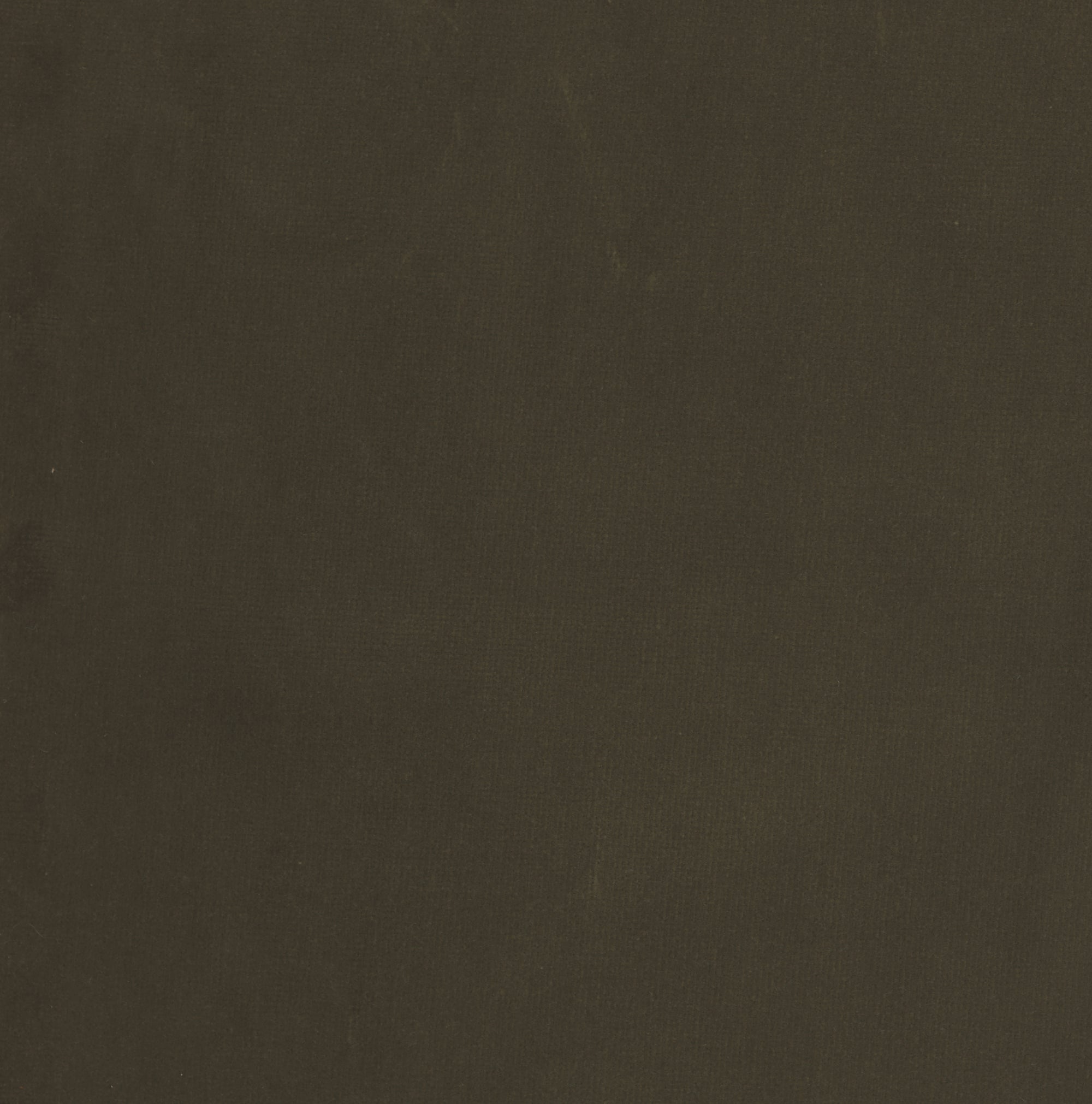 Crispin - Olive