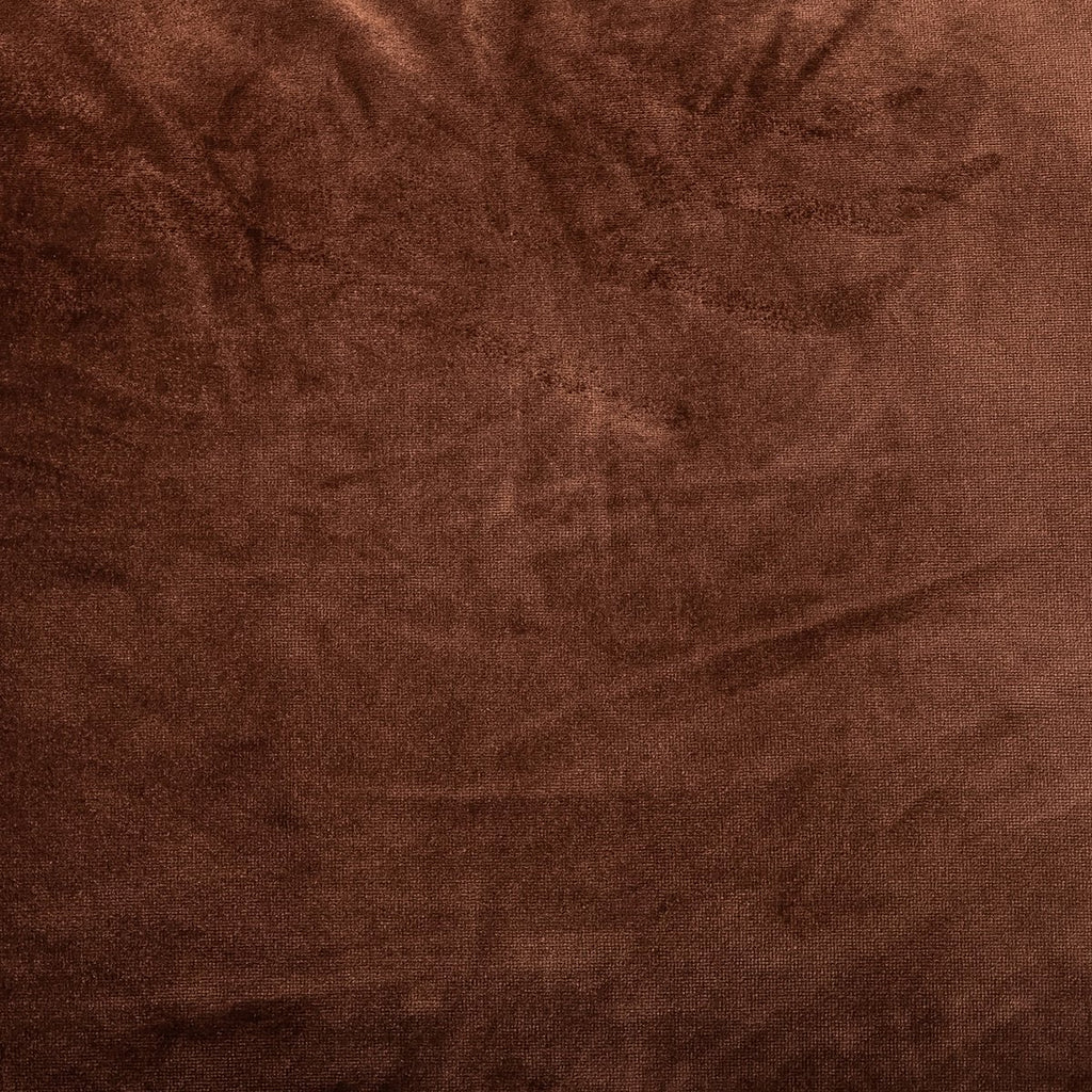 Ace - Auburn image 7