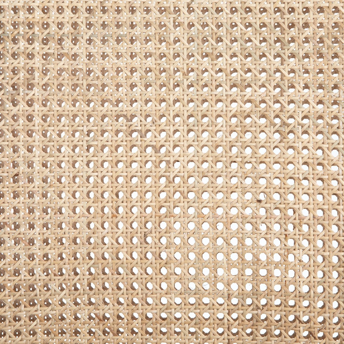 Antonia - Noir image 10