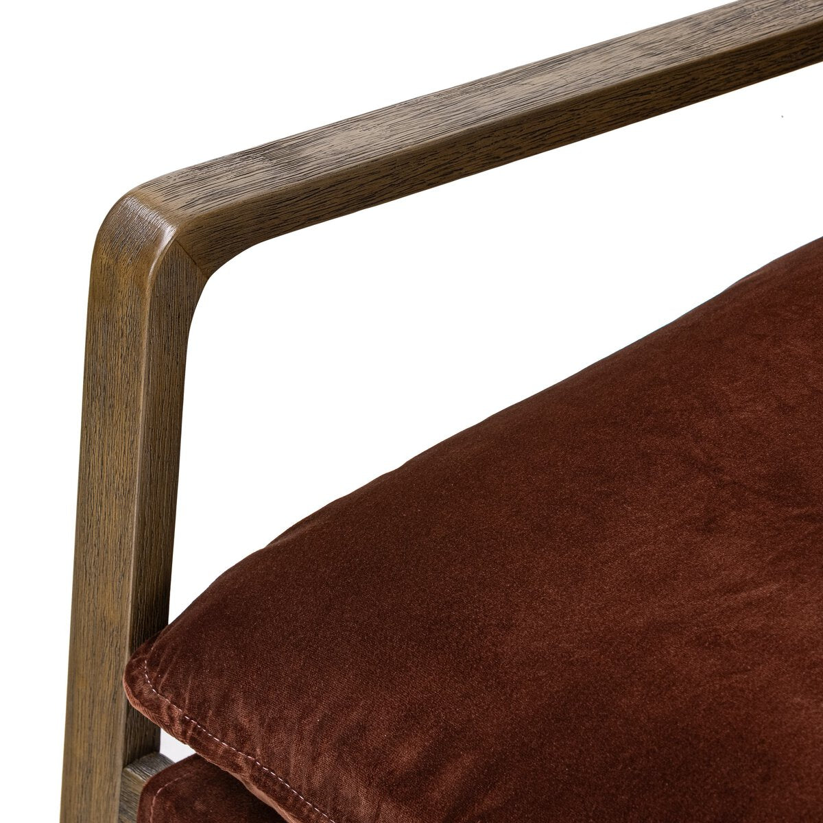 Ace - Auburn image 4