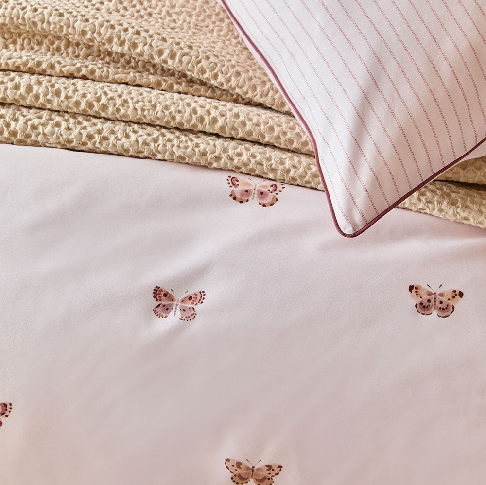 Délicatesse image 2