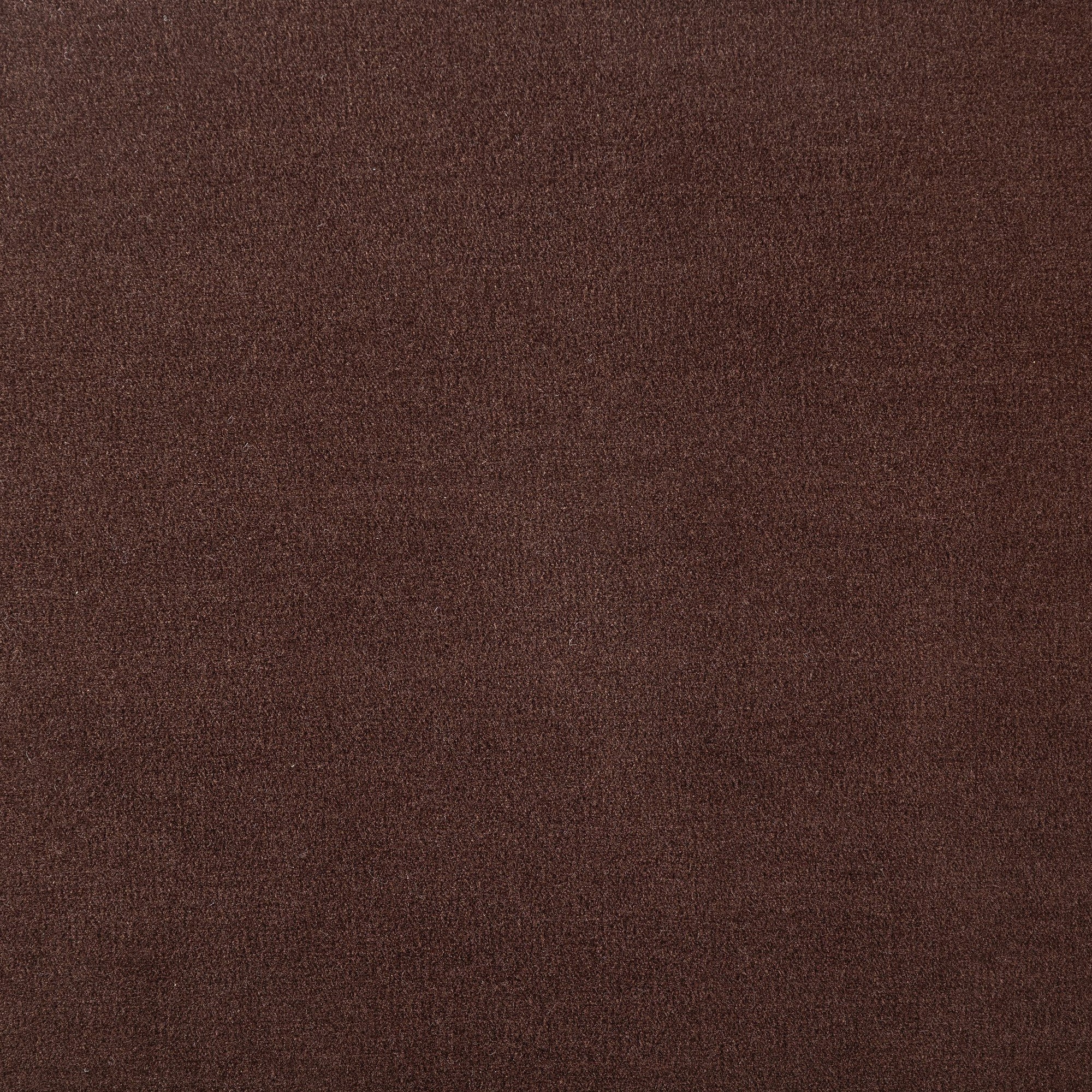 Presley - Chocolat