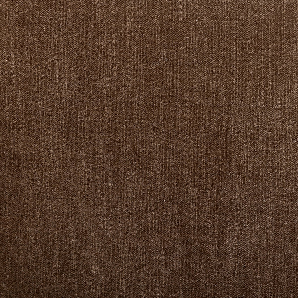 Zena - Champignon image 3