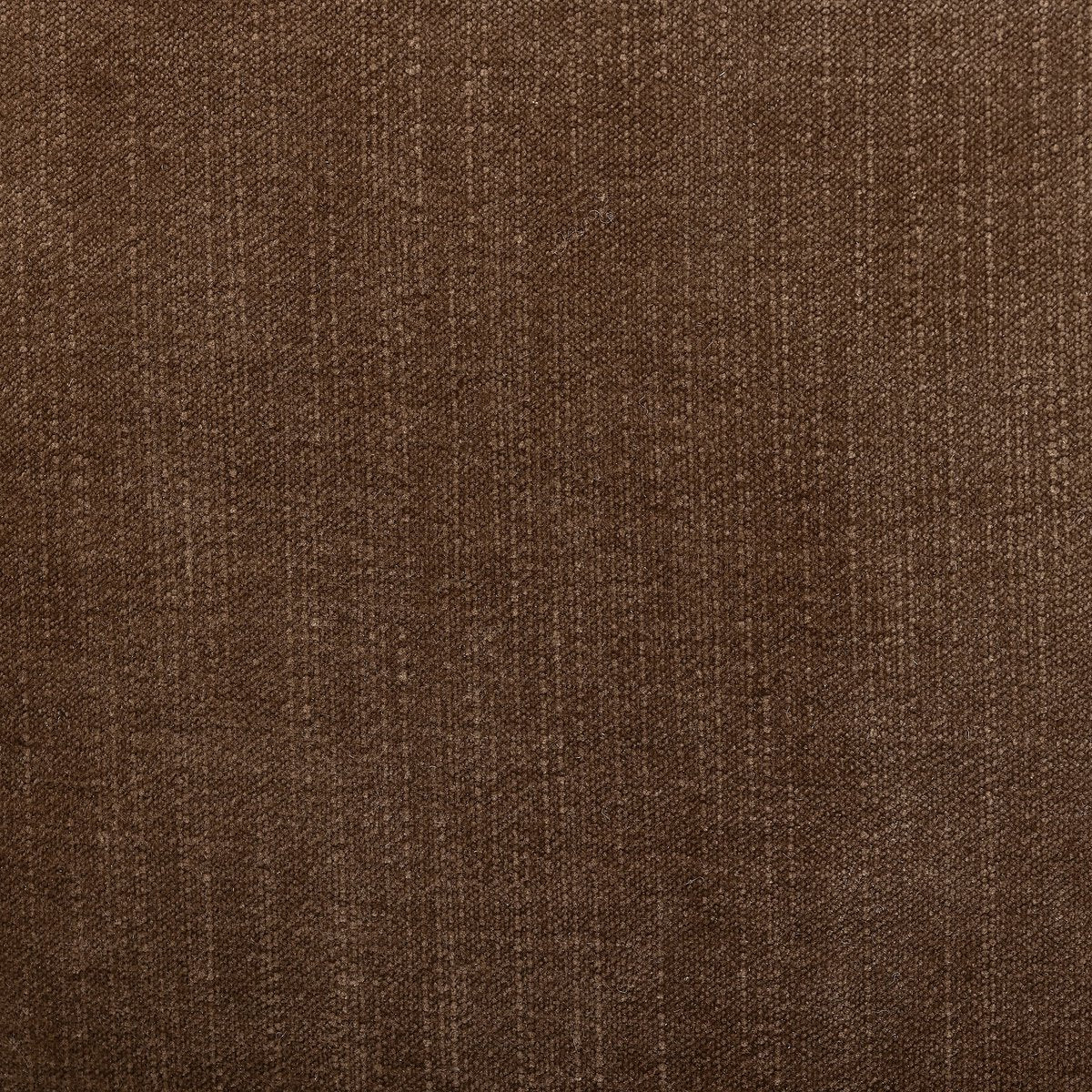 Zena - Champignon image 3