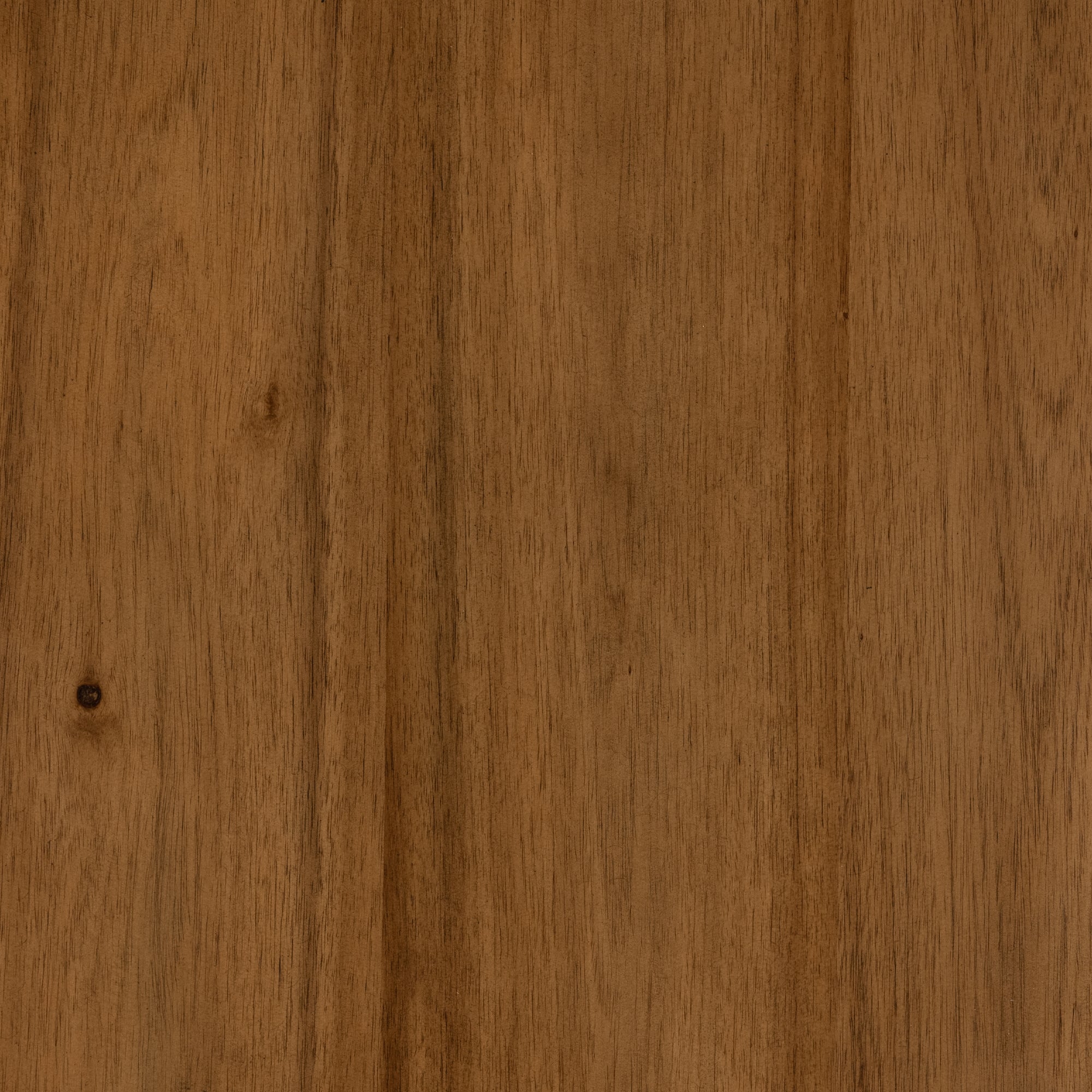 Paden - Sable image 6