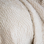 Viola - Gris image 1