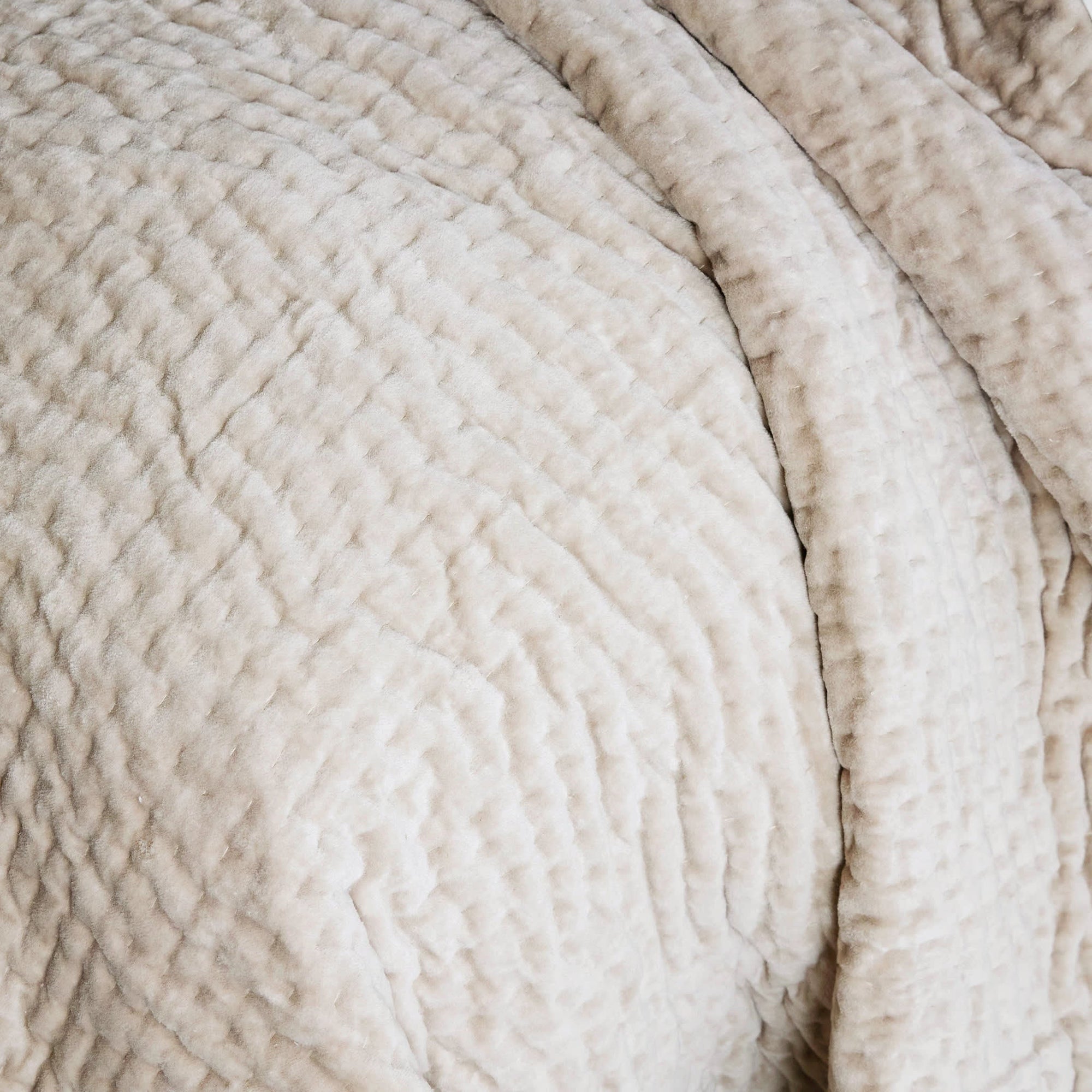 Viola - Gris image 1