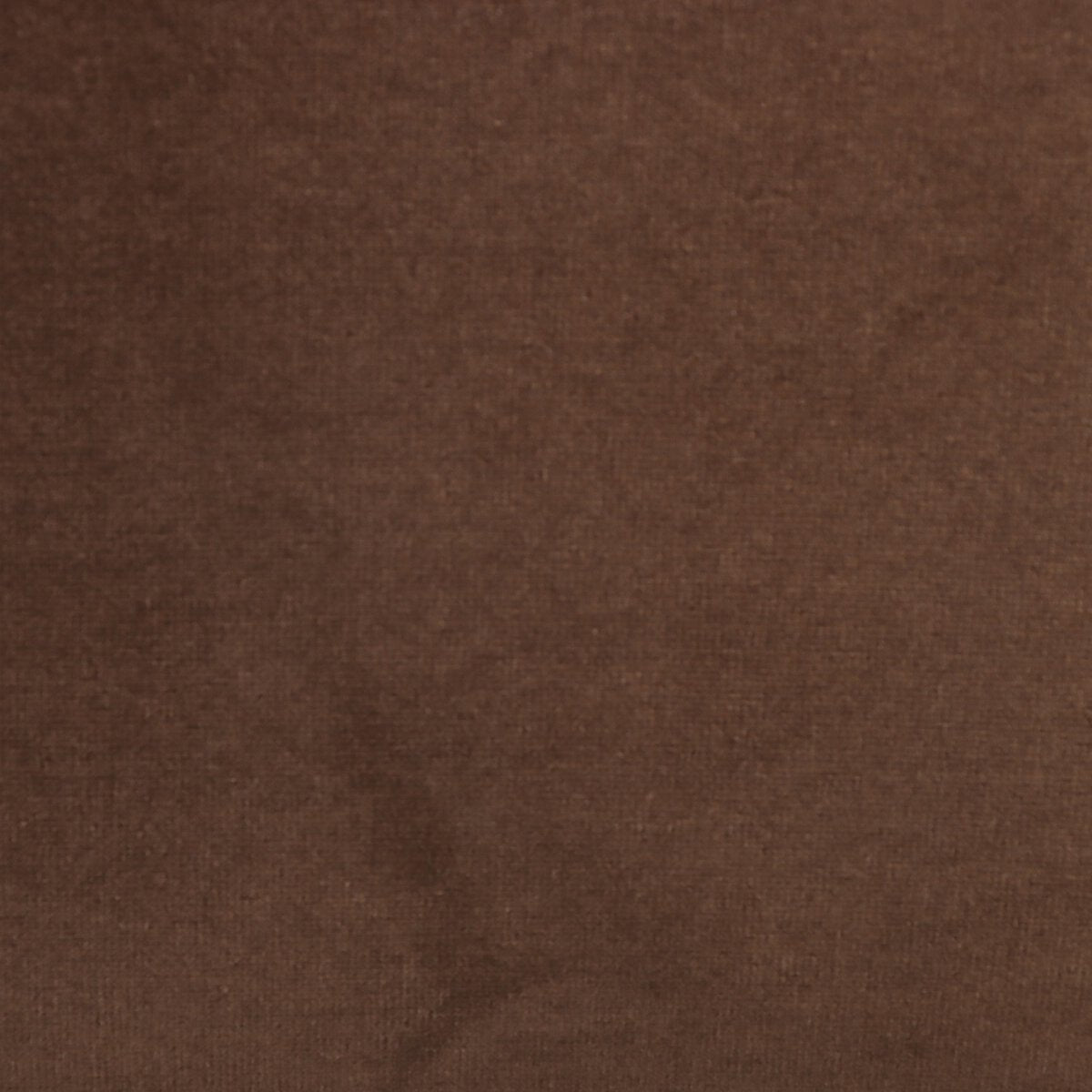 Abilene - Coco image 6