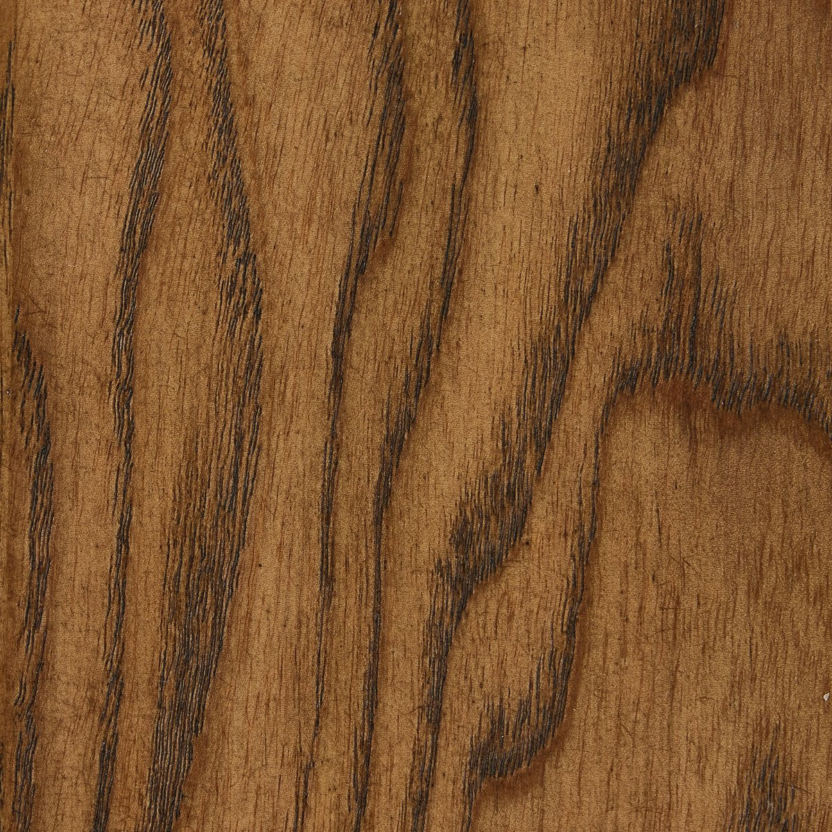 Fabian - Désert image 10