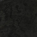 Viola - Noir image 4