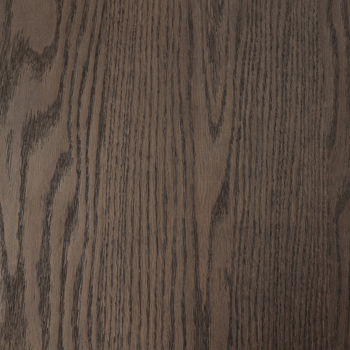 Ernest  - Gris avoine image 2