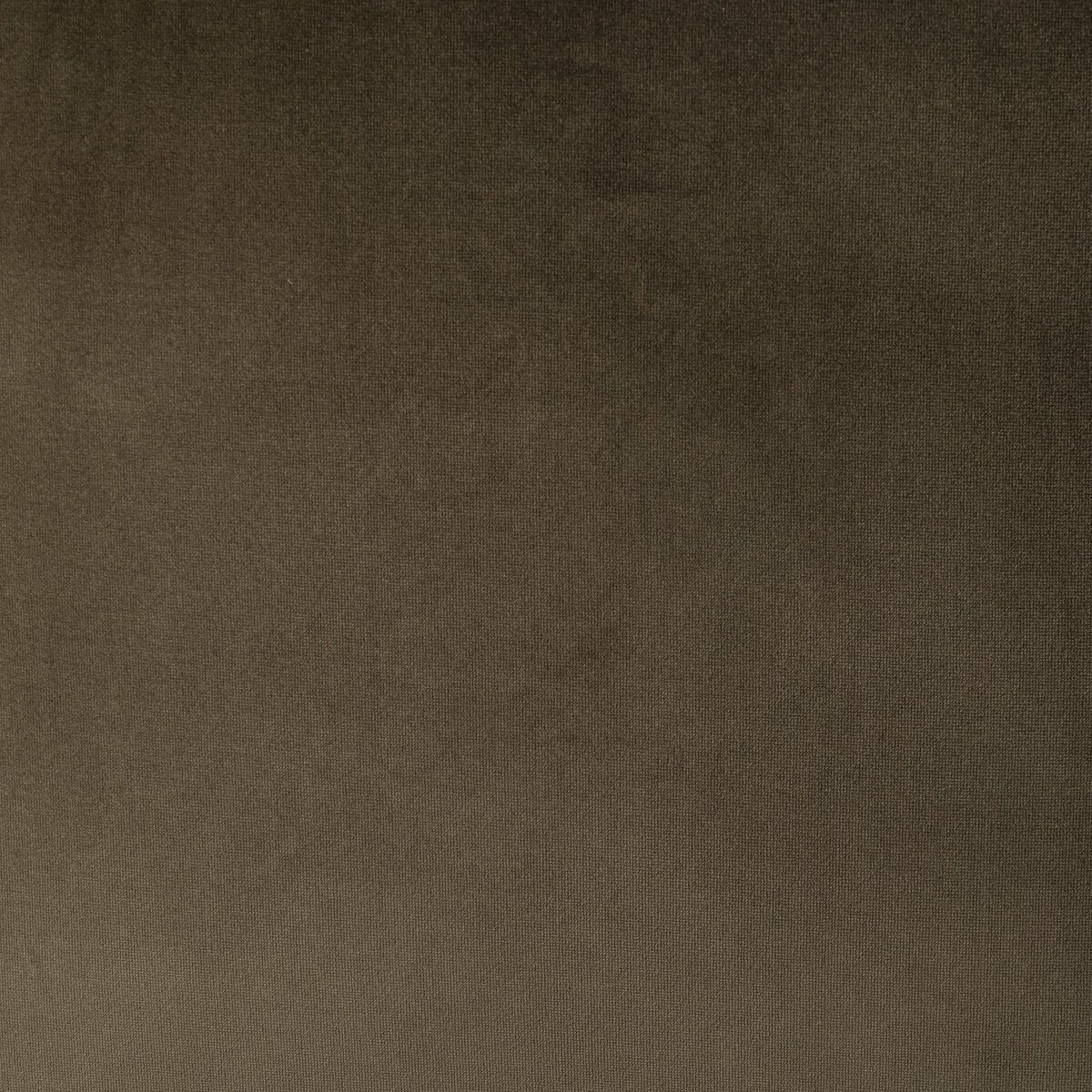 Sinclair carré - Olive image 4