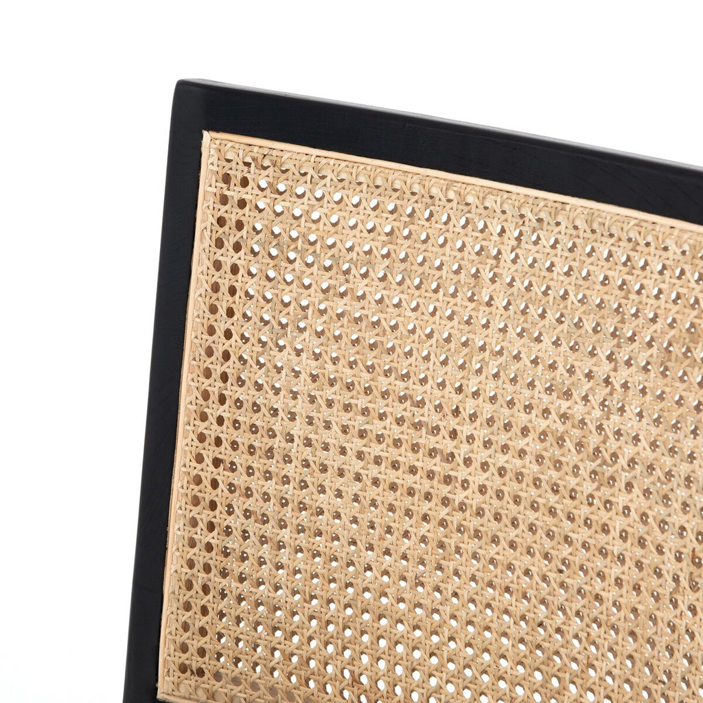 Antonia - Noir image 5