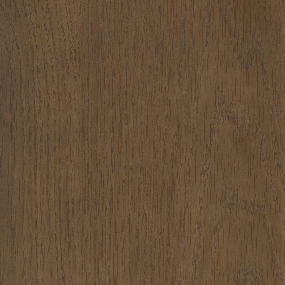 Toulouse - Naturel image 12