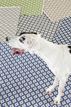 Samode Navy - Intérieur/Extérieur image 1