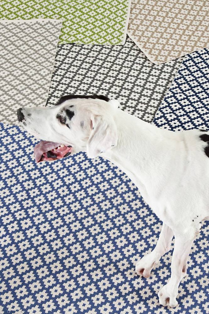 Samode Navy - Intérieur/Extérieur image 1