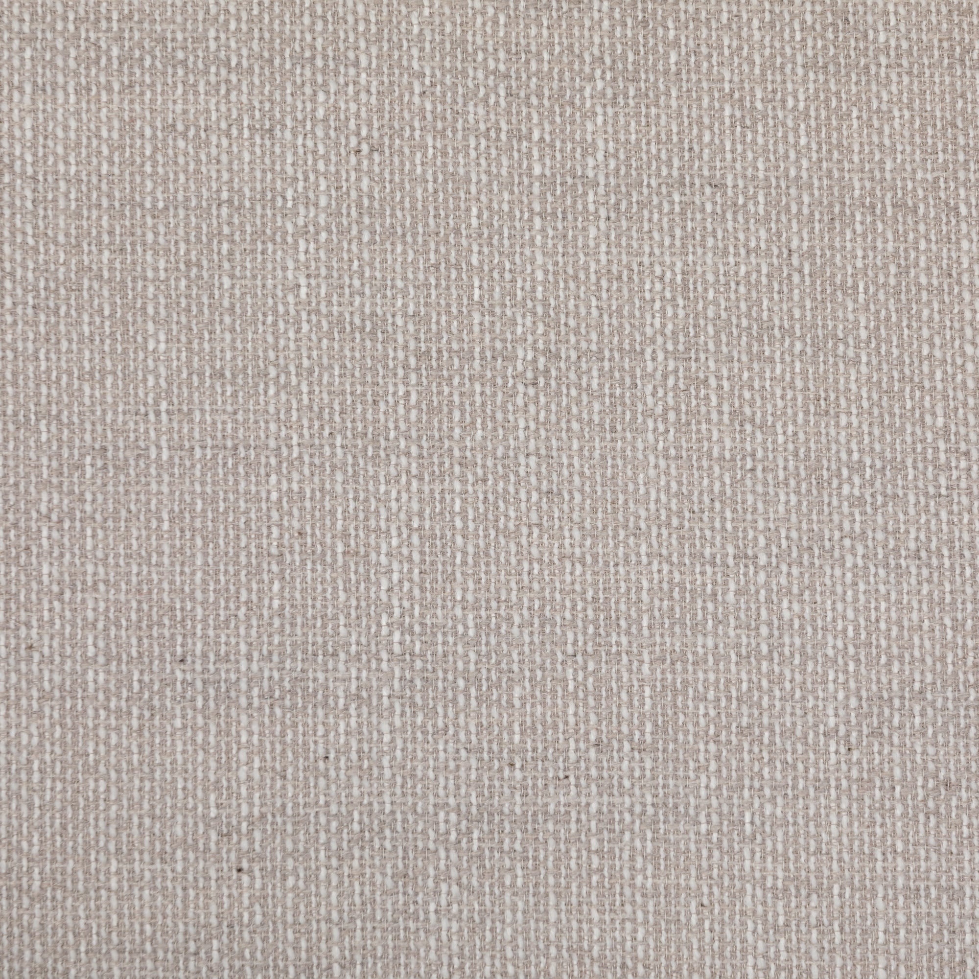 Harriett - Blé image 8