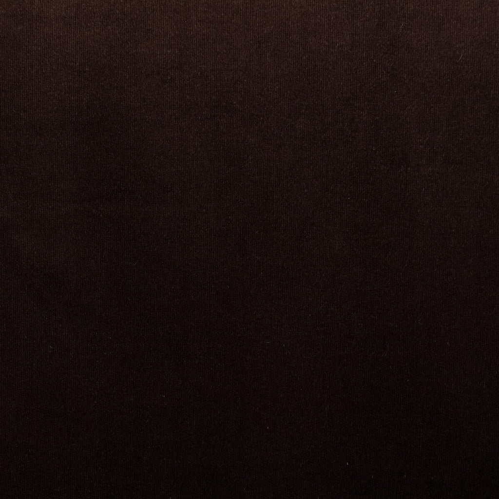 Tyler - Cacao image 7