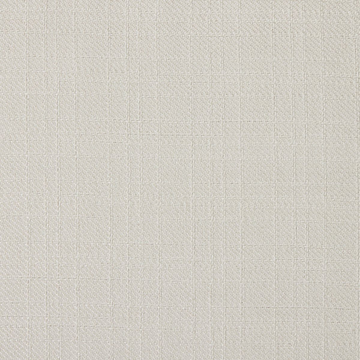 Stevie - Ivoire image 9