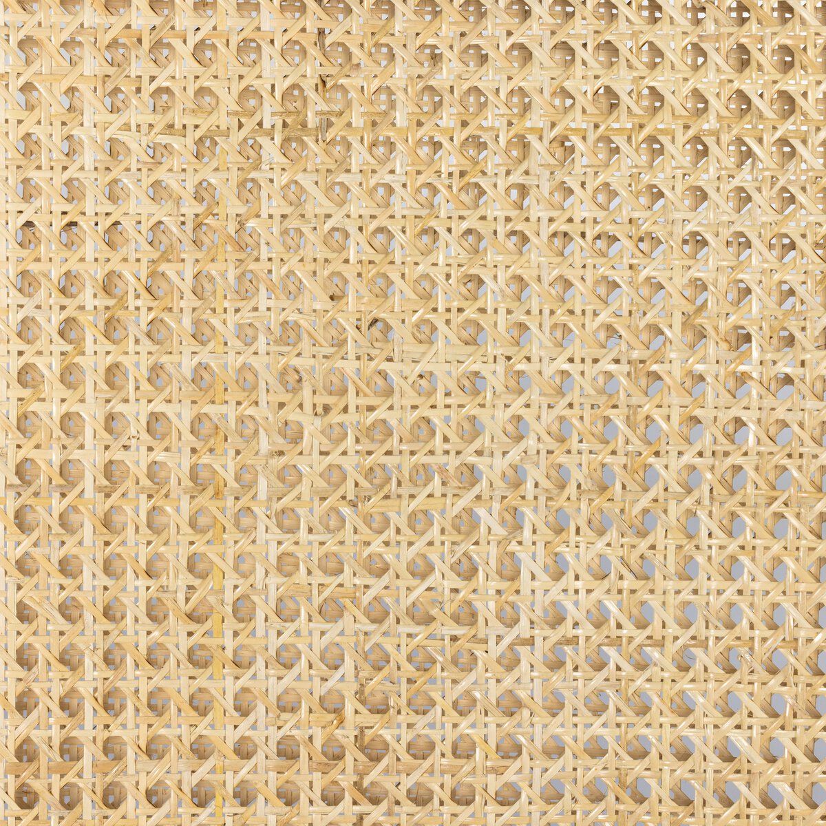 Antonia - Naturel image 10