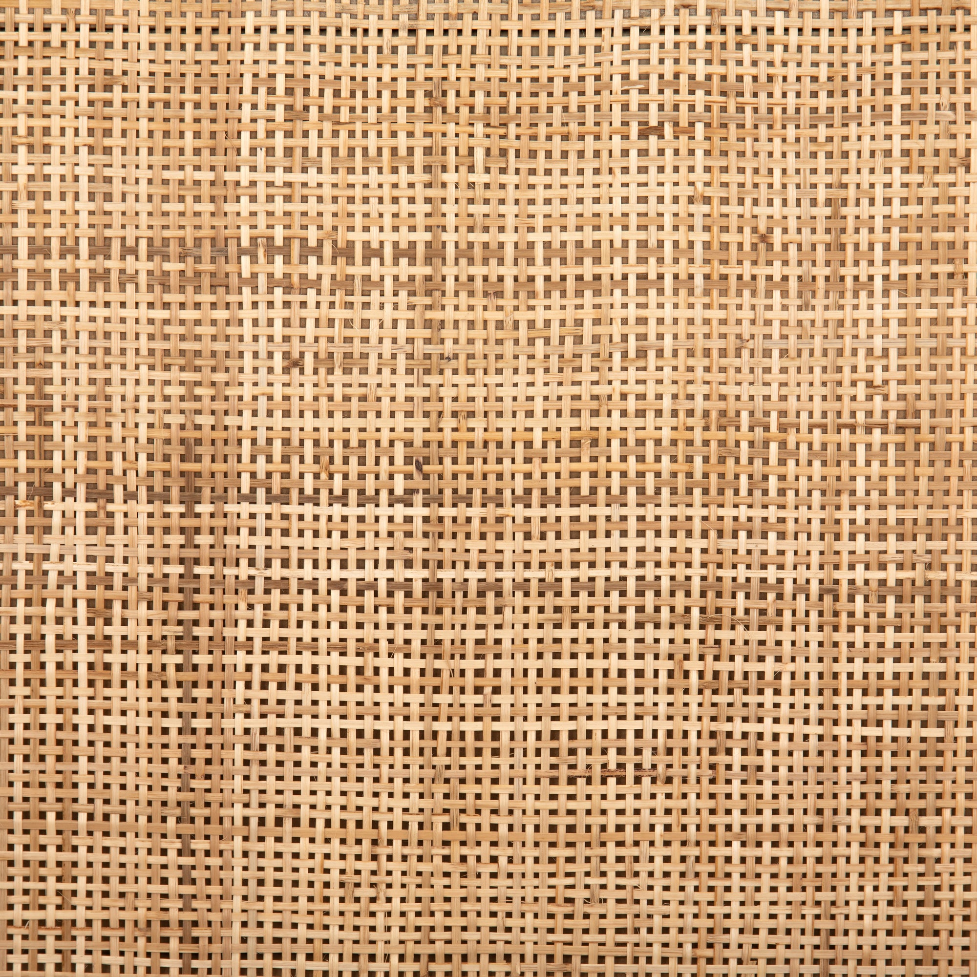 Sydney - Naturel image 8