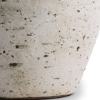 Adam image 4