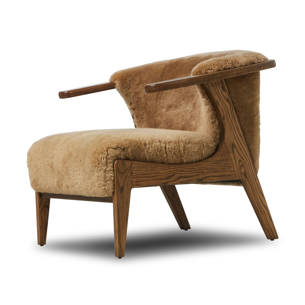 Fabian - Désert image 4