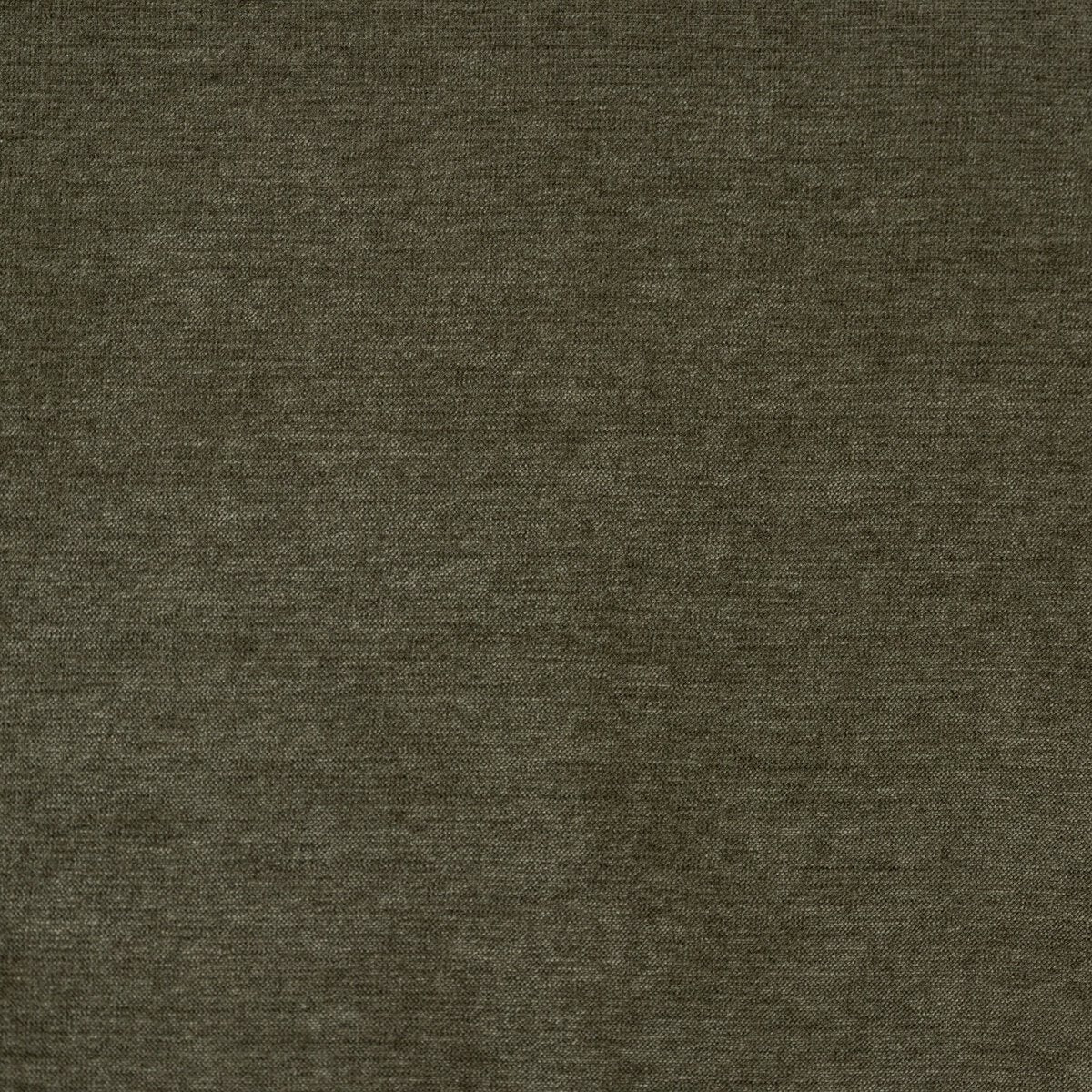 Carina - Olive image 9