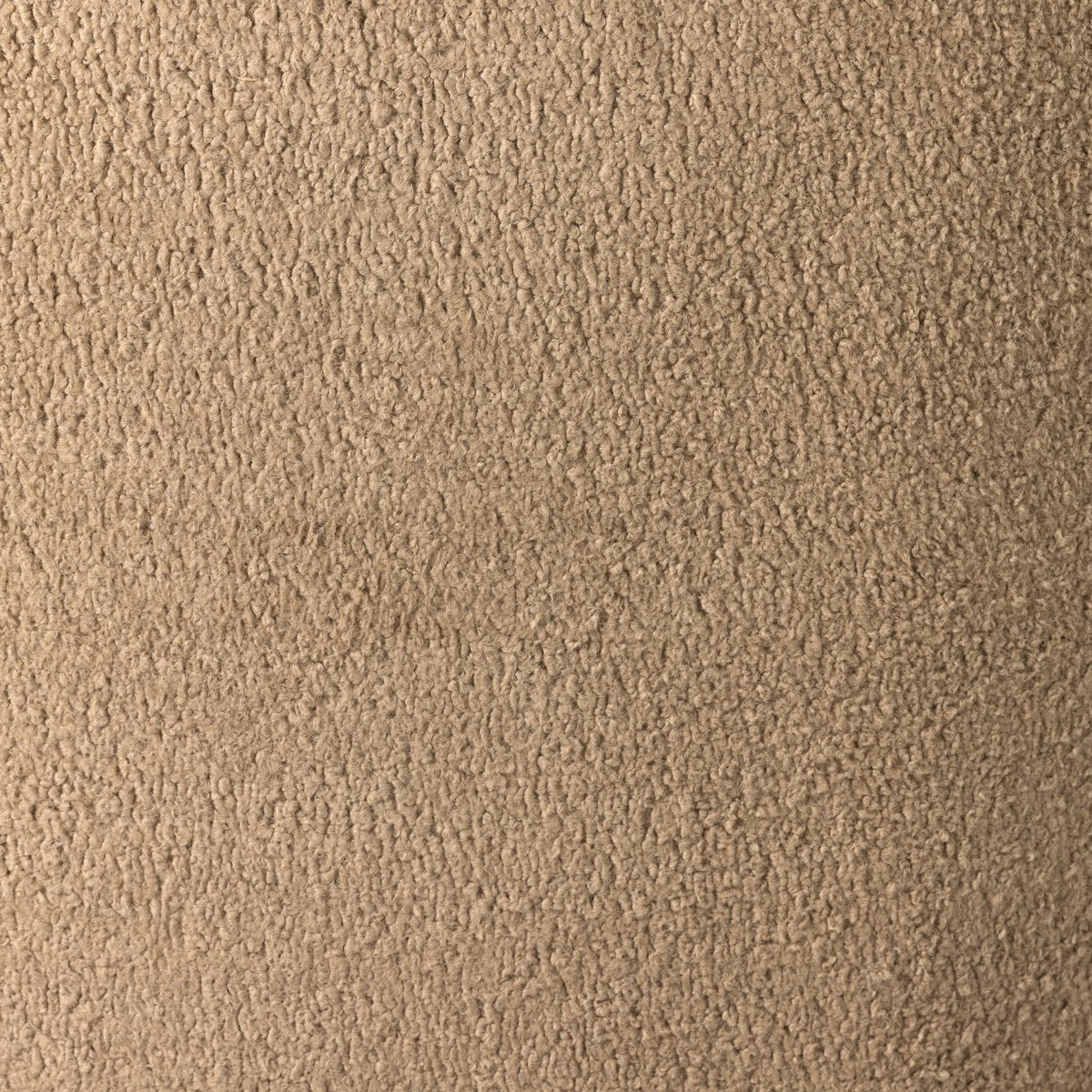 Kadon - Chameau image 10