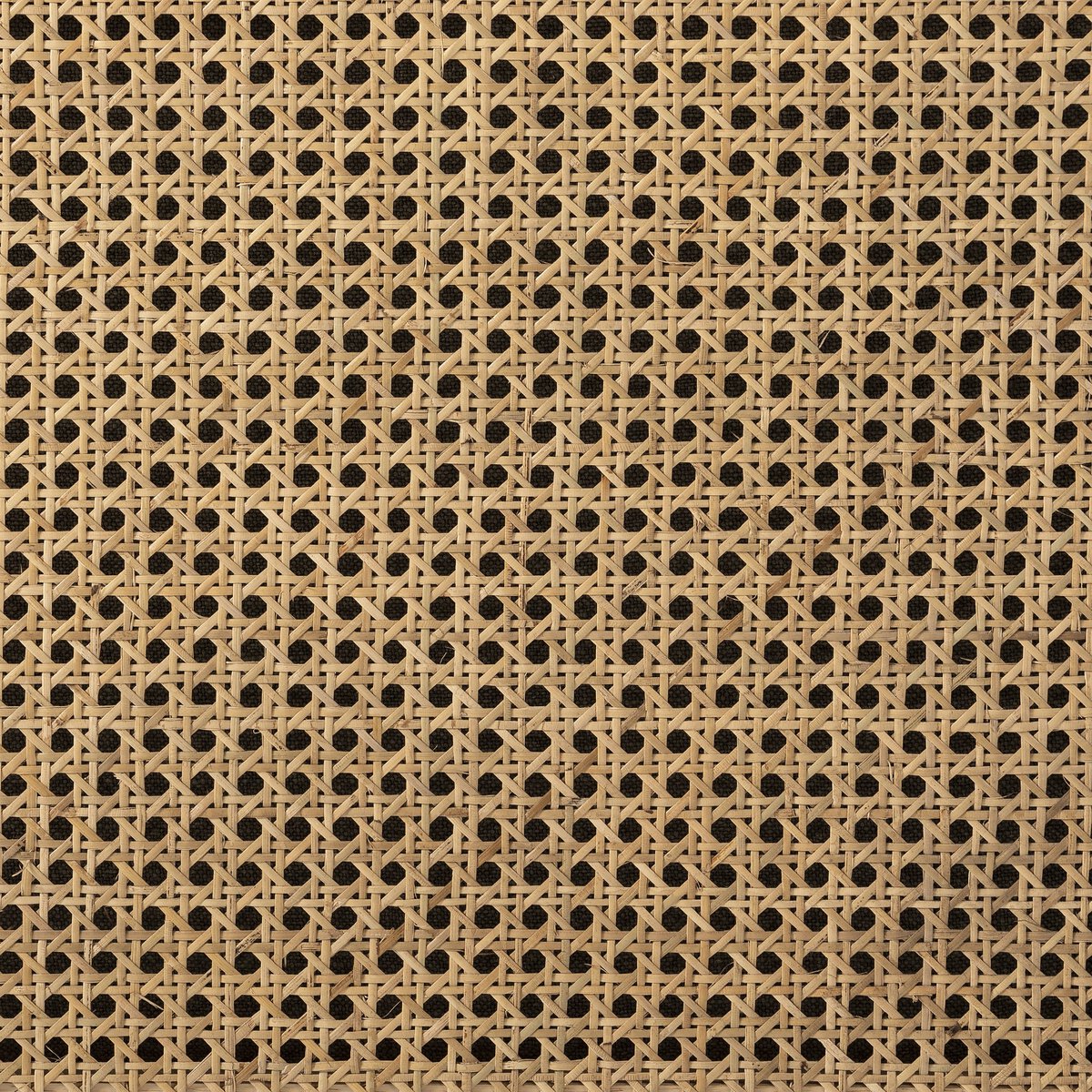 Jayda - Olive image 7