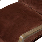 Ace - Auburn image 5