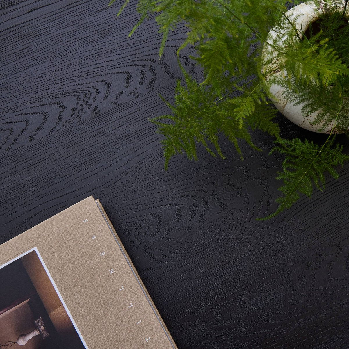 Eamon  - Noir image 4