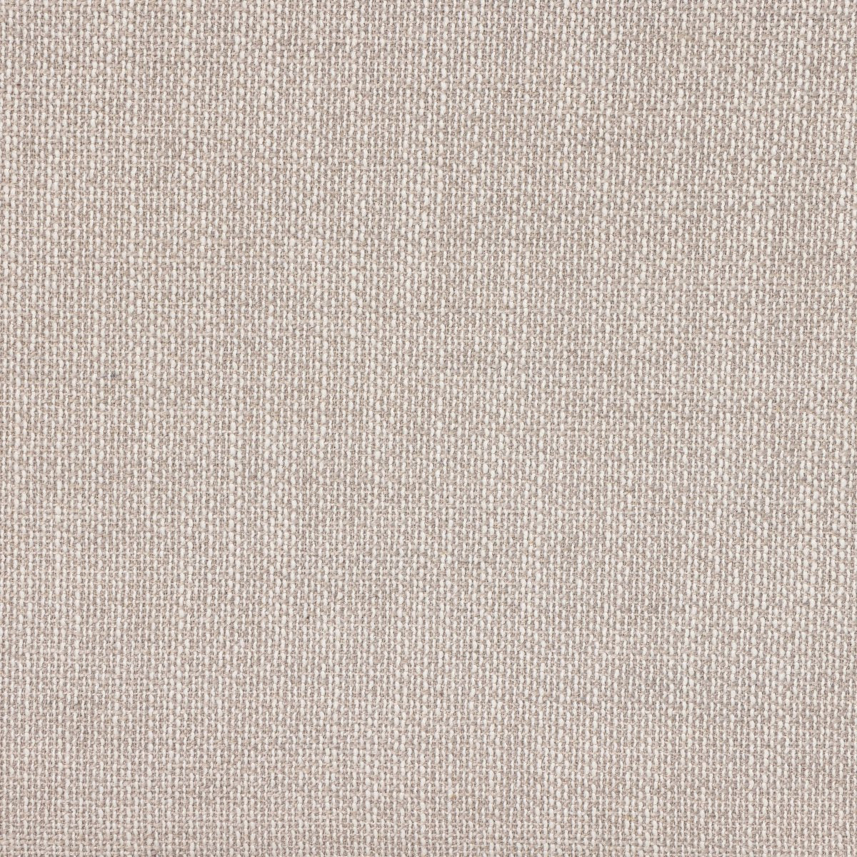 Stevie - Blé image 7